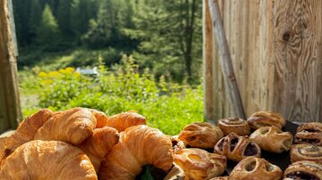 A basket of fresh croissants and a platter of sweet pastries are set in a natural environment. In the background, trees and mountains are visible.
